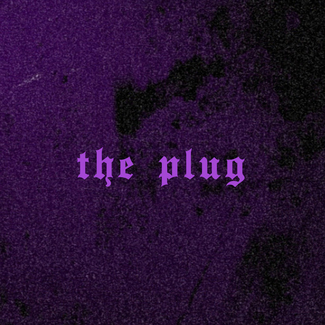 The Plug cover art