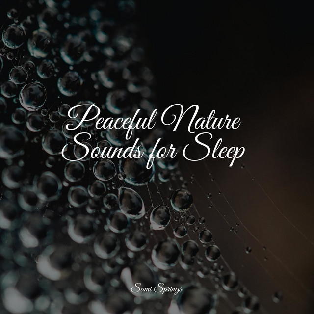 Peaceful Nature Sounds for Sleep - Album by Sounds Of Nature ...