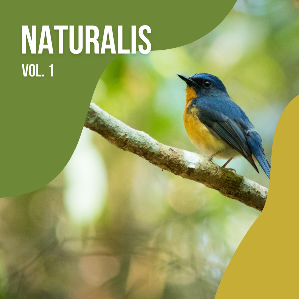 2022 Naturalis Vol. 1 cover art