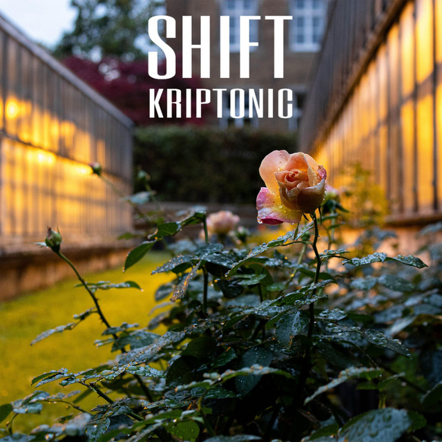 Shift cover art