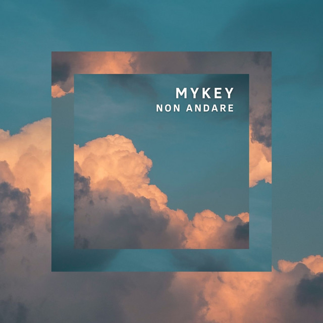 Non andare cover art