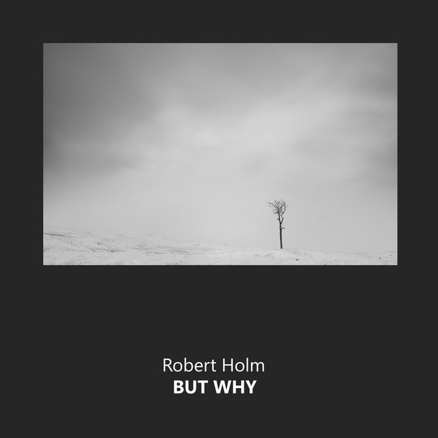 But Why cover art