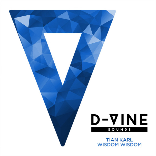Wisdom Wisdom album art