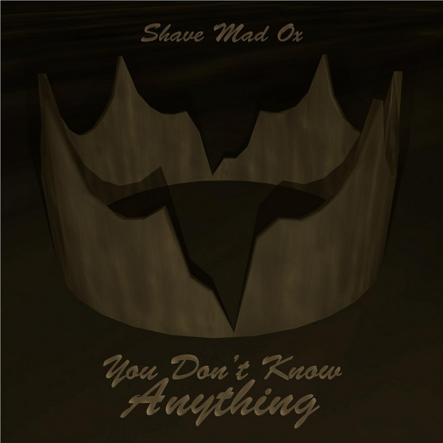 You Don't Know Anything cover