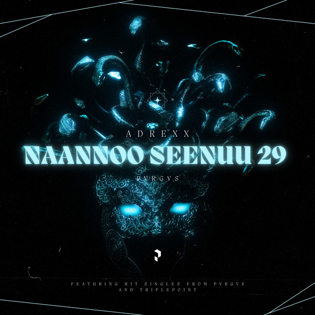 Naannoo Seenuu 29 cover art