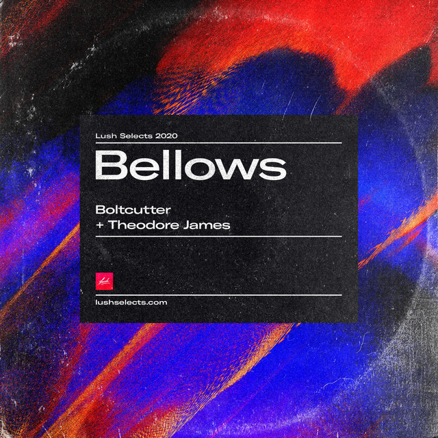Bellows cover