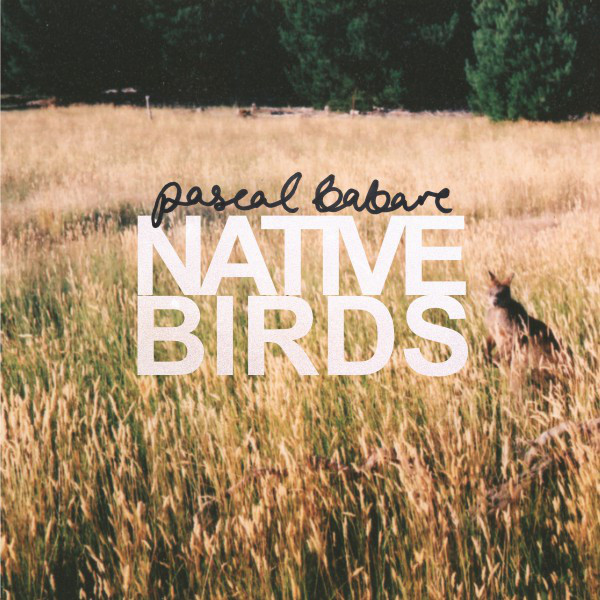 Native Birds cover art