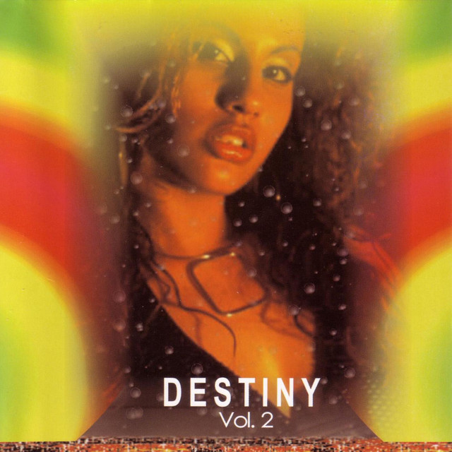 child 2ndアルバム　レコード destiny's