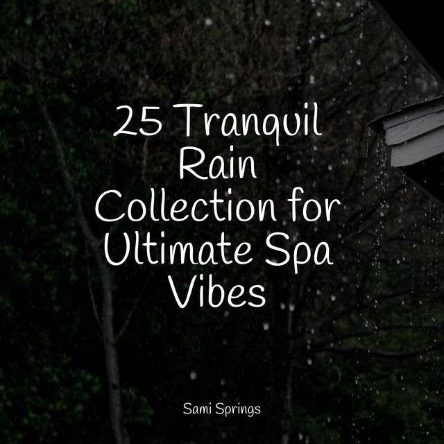 25 Tranquil Rain Collection for Ultimate Spa Vibes - Album by Rain ...