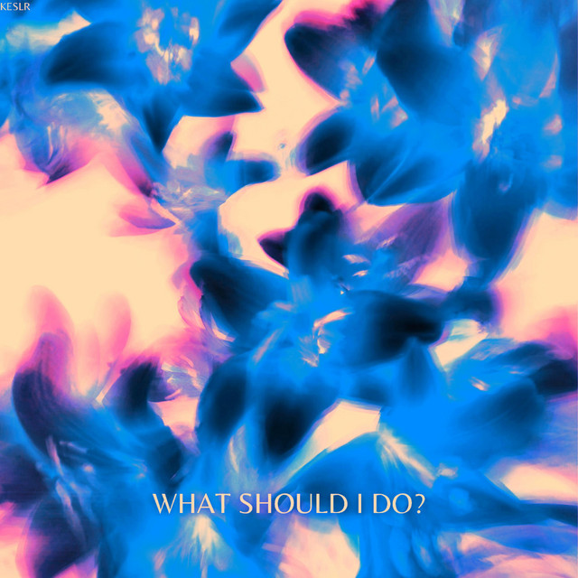 WHAT SHOULD I DO cover art