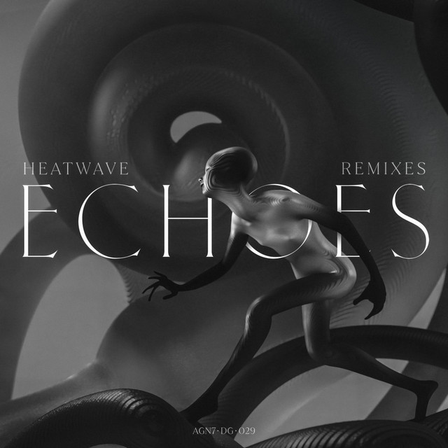 Echoes Remixes cover art