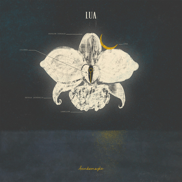 Lua cover art