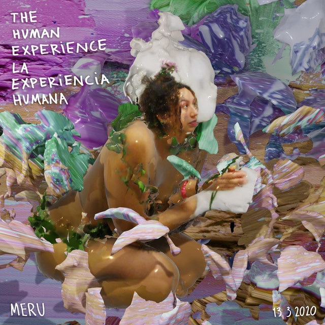 The Human Experience cover art