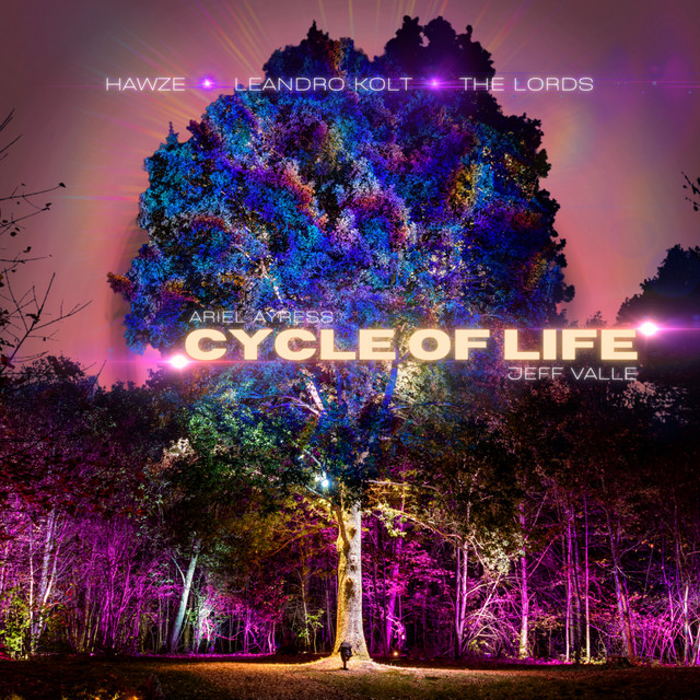 Cycle of Life cover art