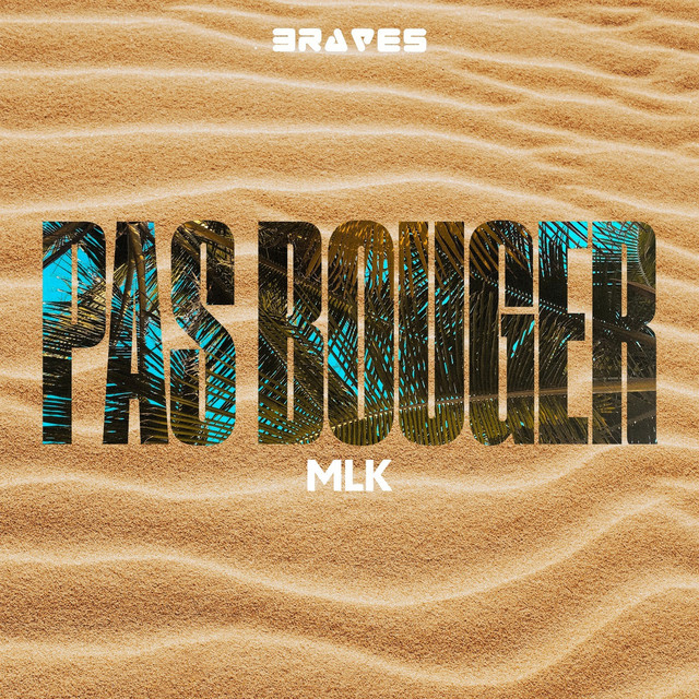 Pas Bouger cover art