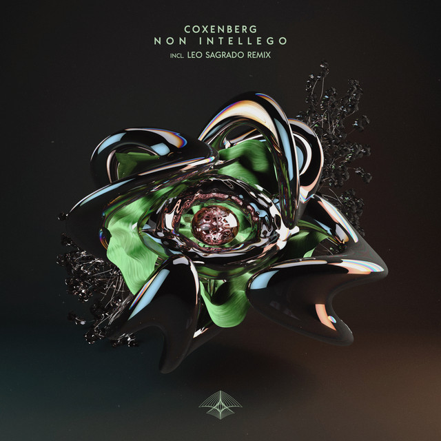 Non Intellego album art