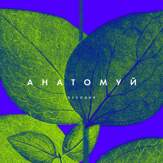 Обкладинка: Анатомуй — Безодня