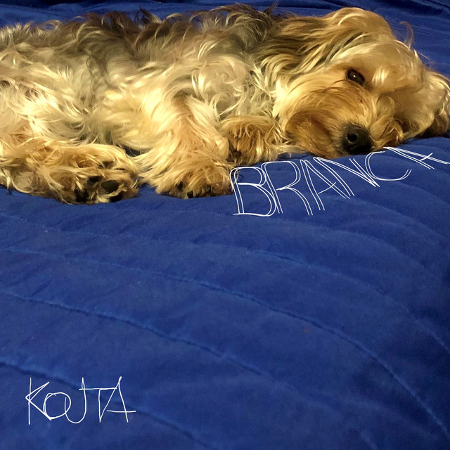 KOUTA