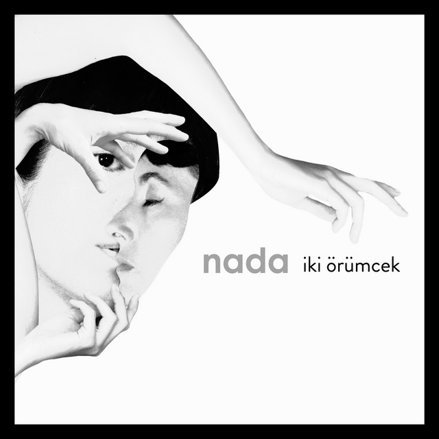 İki Örümcek cover art