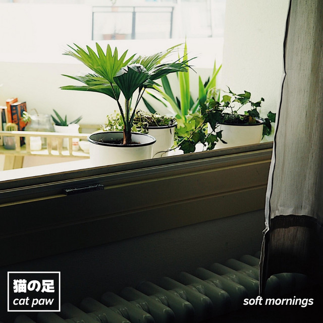 Soft Mornings cover art