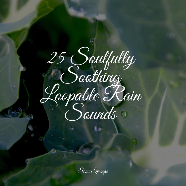 25 Soulfully Soothing Loopable Rain Sounds - Album by Rainfall | Spotify