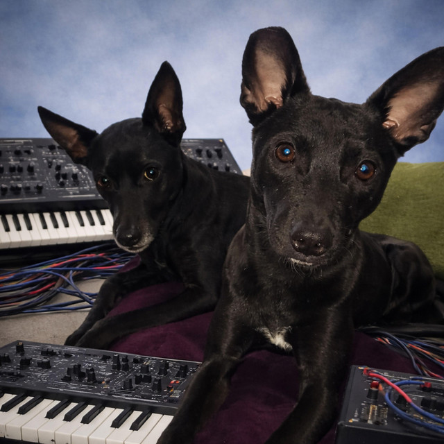 Some Tracks cover art