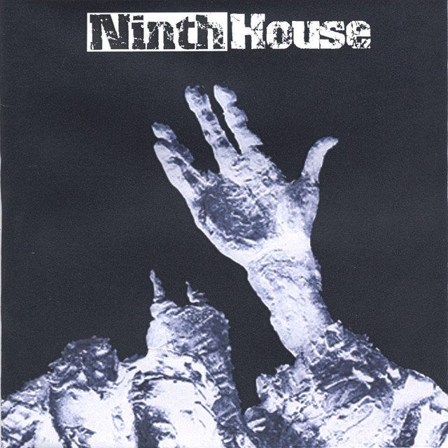 Swim in the Silence cover art