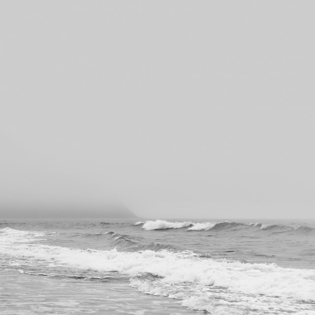 Within, Without
