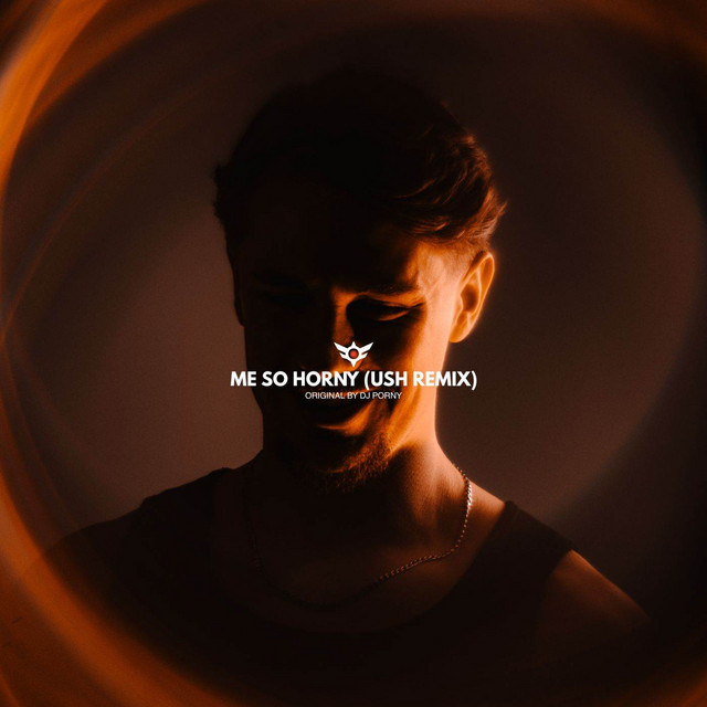 ME SO HORNY (USH REMIX) cover art