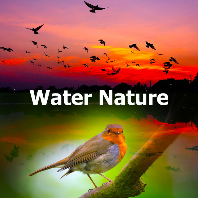 Water Nature cover art
