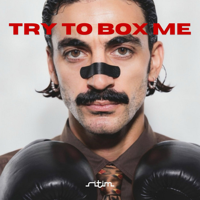 Cover of Try To Box Me by Ede