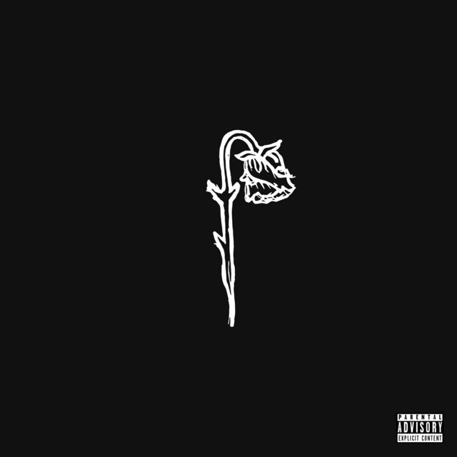 Carpe Noctem cover art