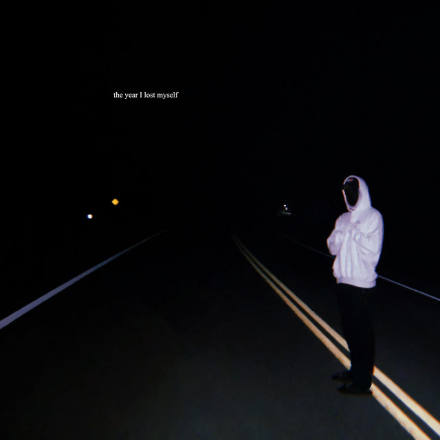 The Year I Lost Myself cover art