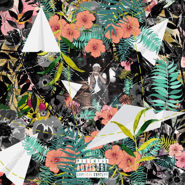 Flowers and Planes cover art