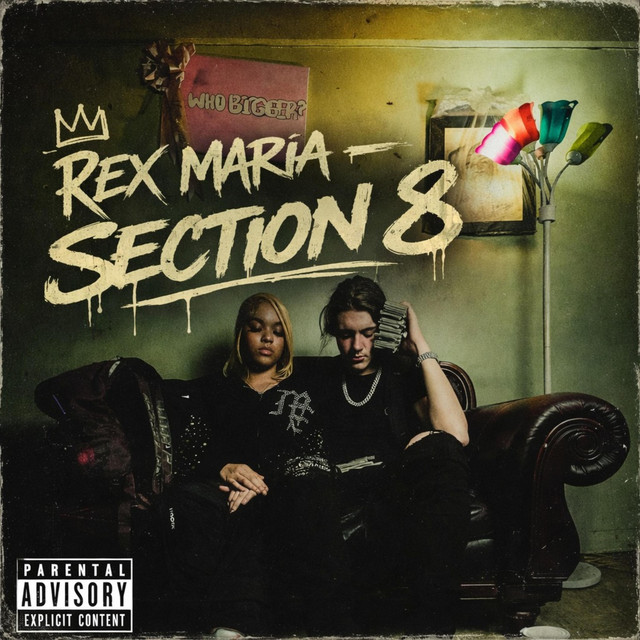 Section 8