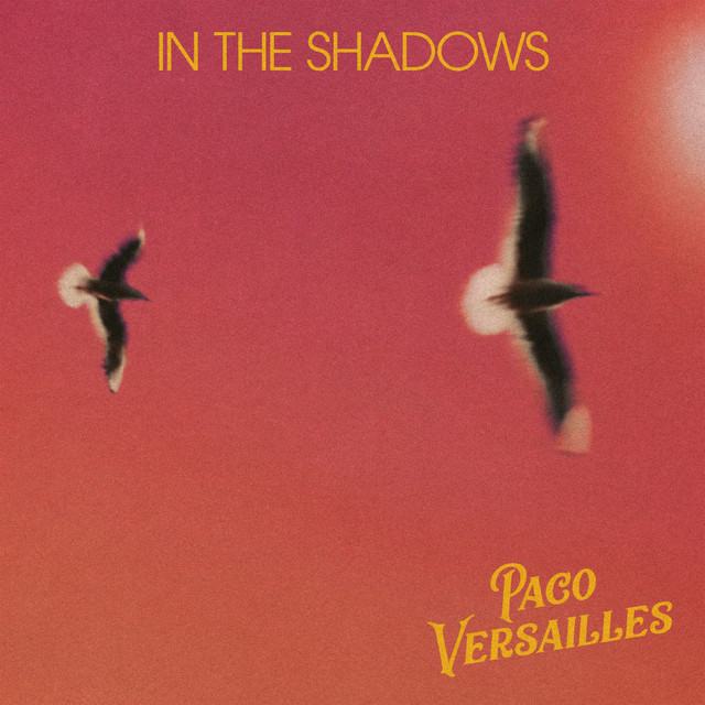 Pochette du titre In The Shadows