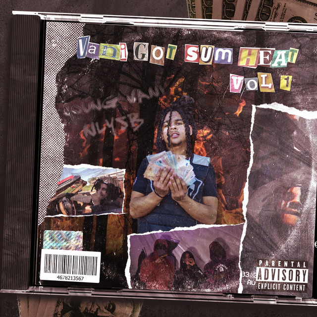 Vani Got Sum Heat, Vol. 1 cover art