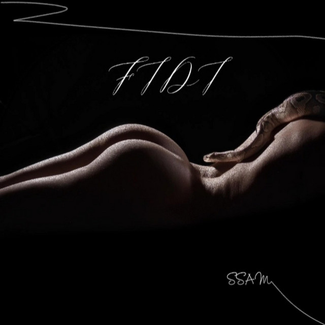FIDI cover art