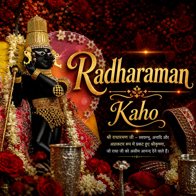Radharaman Kaho (Sped Up) album image
