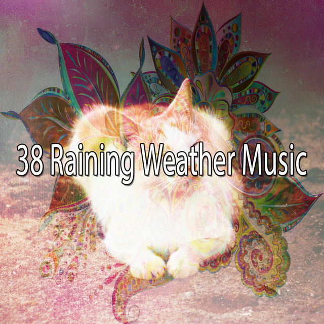 38 Raining Weather Music - Album by The Rain Library | Spotify