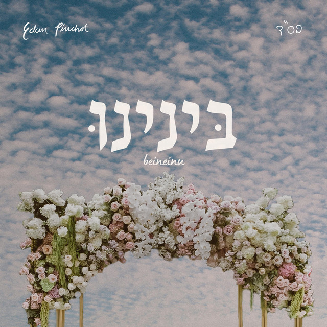 בינינו (Beineinu) cover art