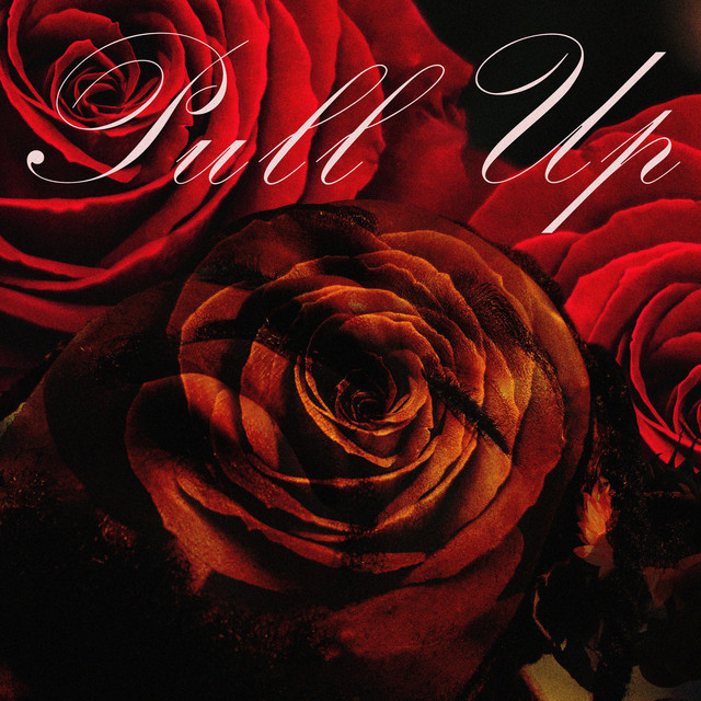 Pull Up cover art