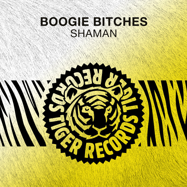 Shaman album art
