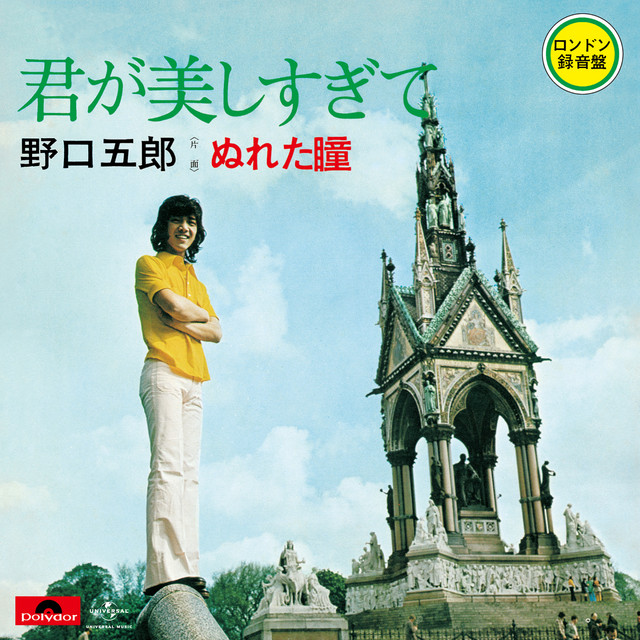 君が美しすぎて cover