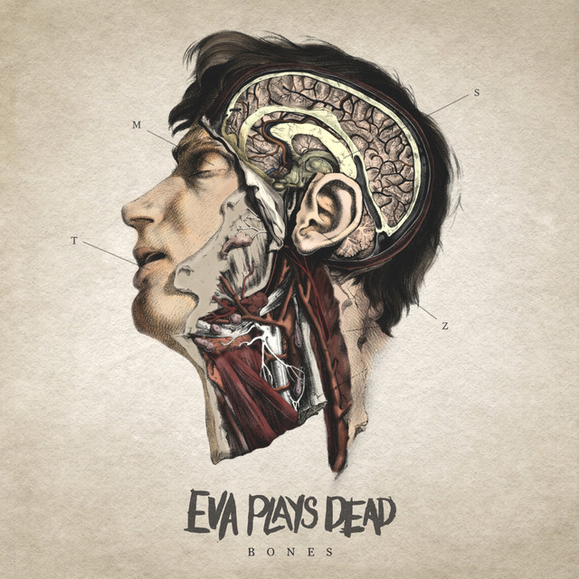 Bones cover