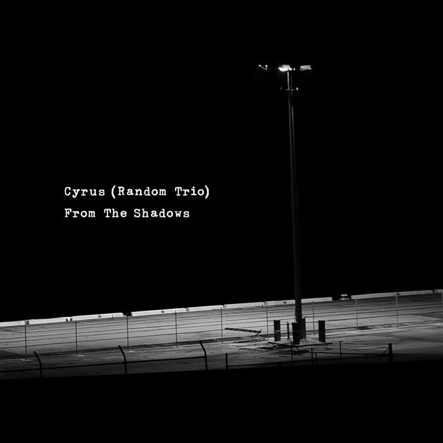 From the Shadows cover art