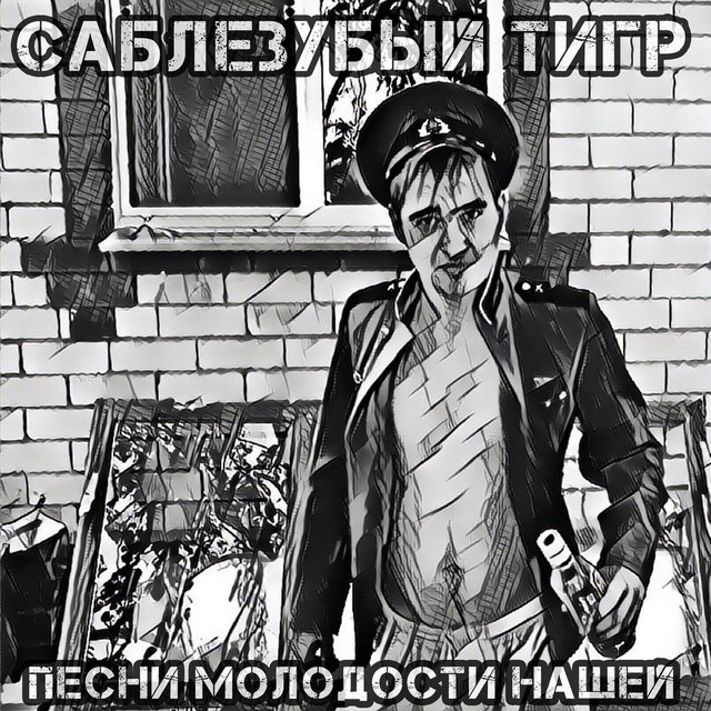 Песни молодости нашей cover art