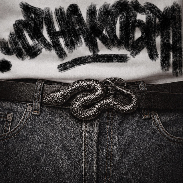 Обкладинка: Чорна кобра — Diss One