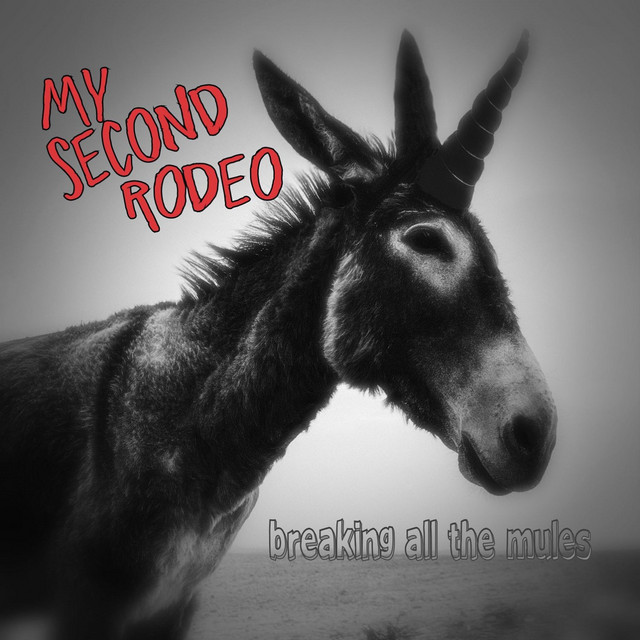 Breaking All the Mules cover art