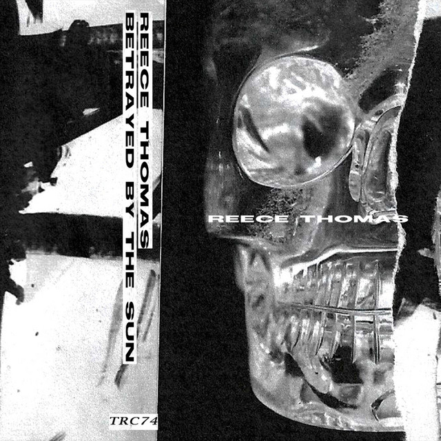 Betrayed By The Sun cover art